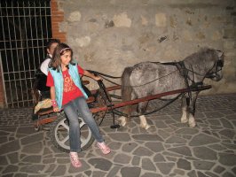 sagra-2008-a 001 (22).jpg